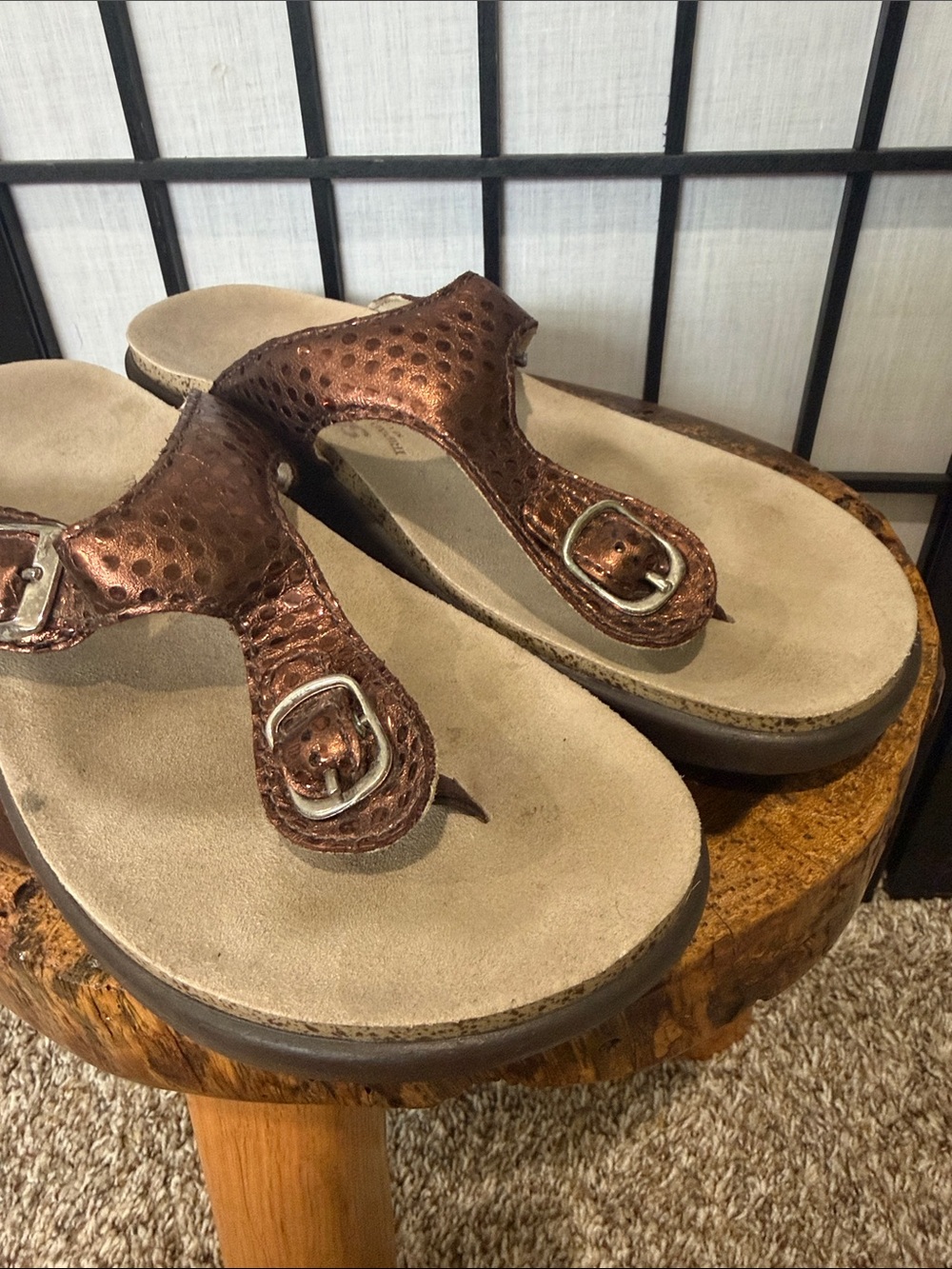 SAS Marina brown Metallic Leather T-strap Sandals Comfort EUC 8.5 USA - Picture 8 of 9